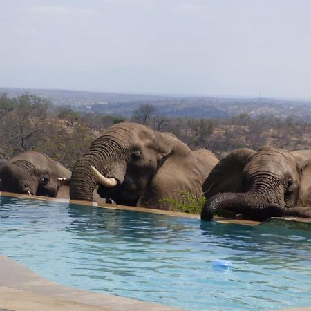 Mbizi Bush Lodge Grietjie Game Reserve Kültér fotó