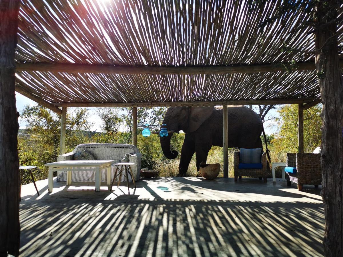 Mbizi Bush Lodge Grietjie Game Reserve Kültér fotó