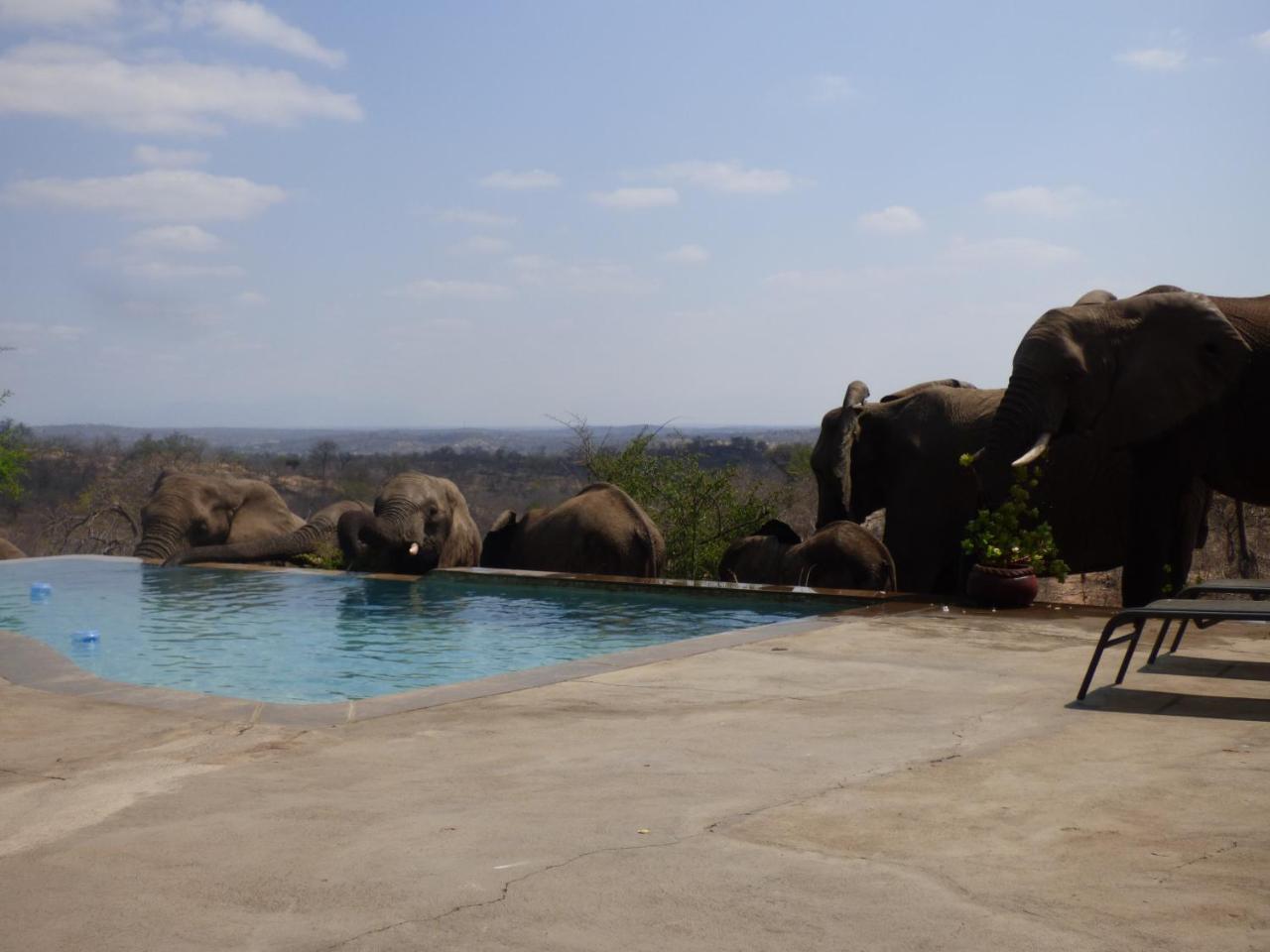 Mbizi Bush Lodge Grietjie Game Reserve Kültér fotó