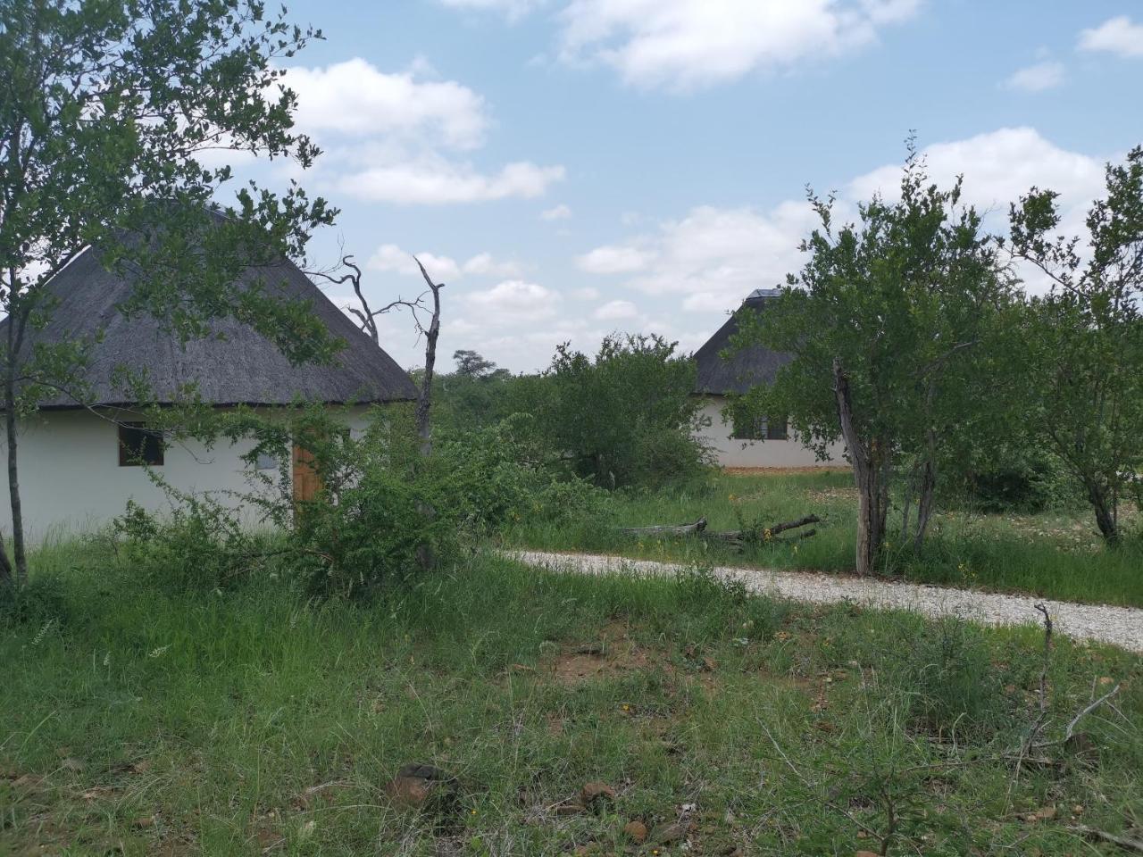 Mbizi Bush Lodge Grietjie Game Reserve Kültér fotó