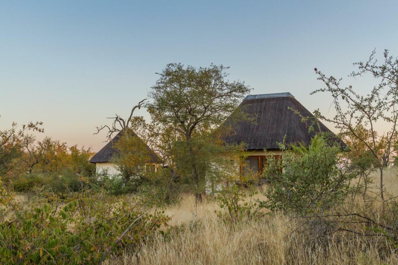 Mbizi Bush Lodge Grietjie Game Reserve Kültér fotó