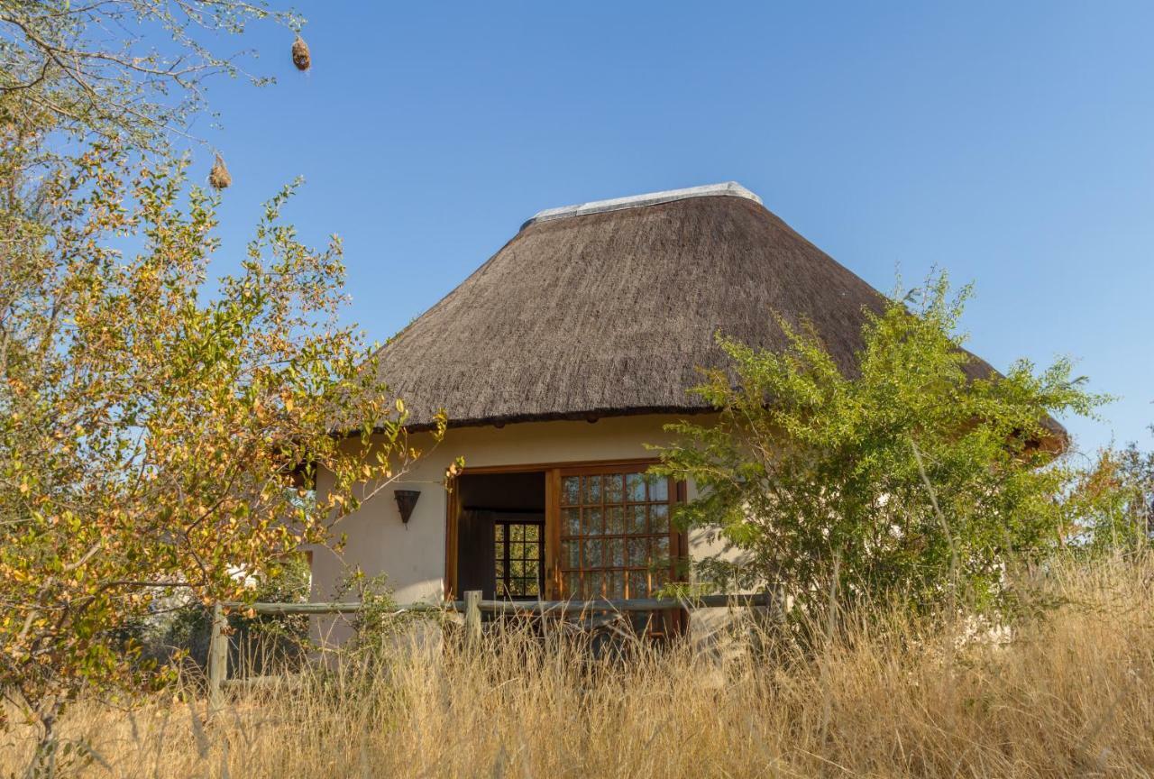 Mbizi Bush Lodge Grietjie Game Reserve Kültér fotó