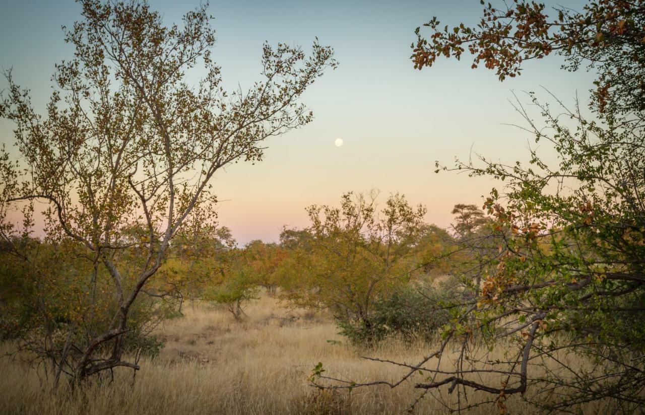 Mbizi Bush Lodge Grietjie Game Reserve Kültér fotó