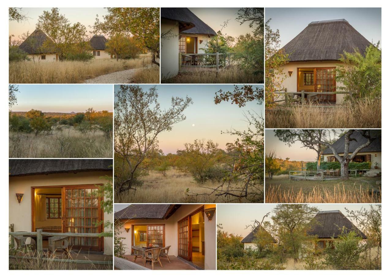 Mbizi Bush Lodge Grietjie Game Reserve Kültér fotó